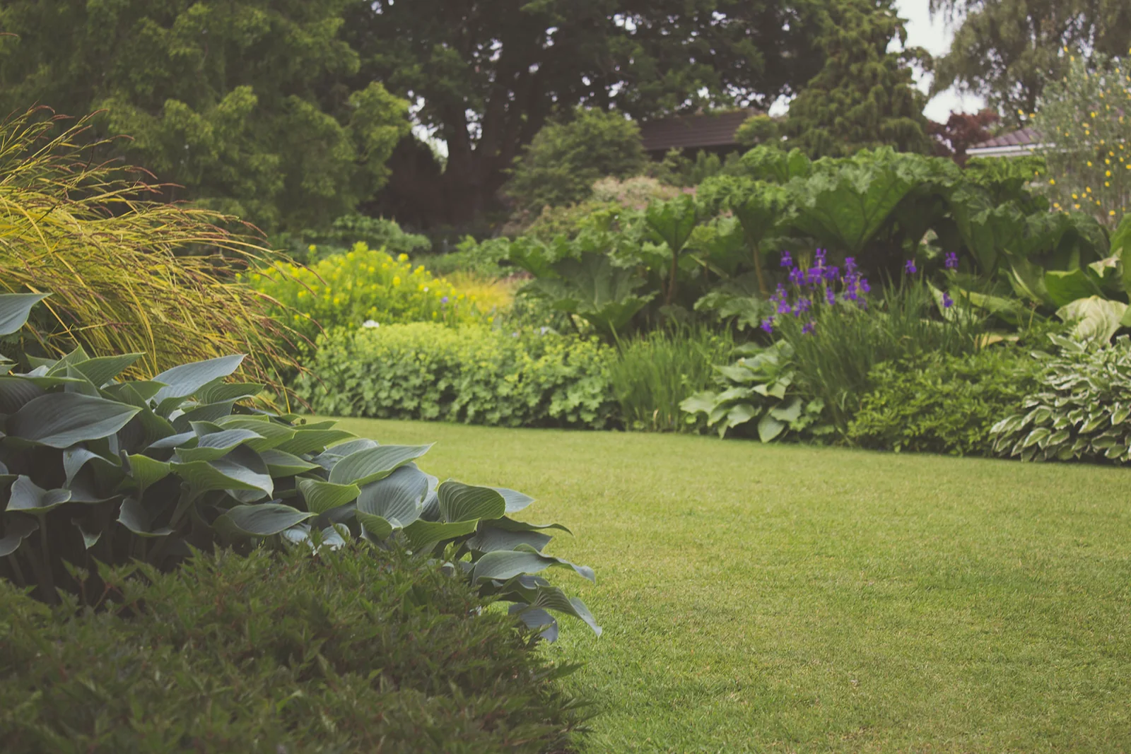 Garden with mature planting