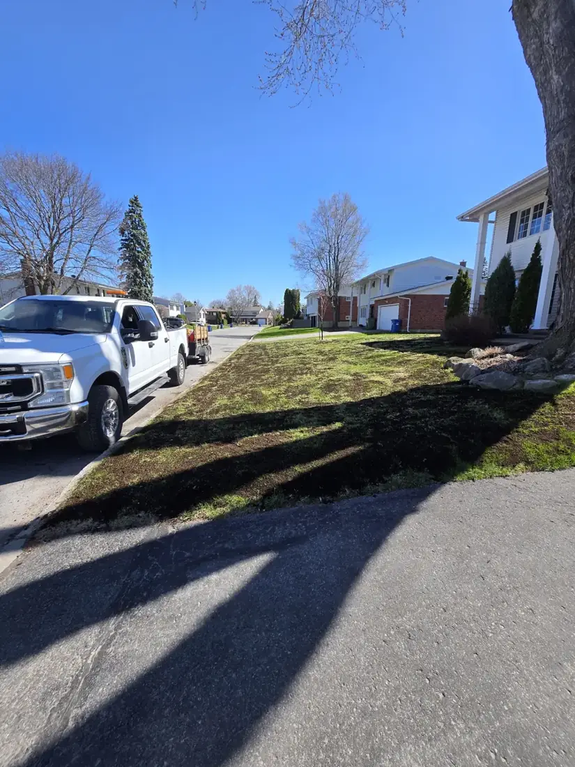 Topdressing a front lawn