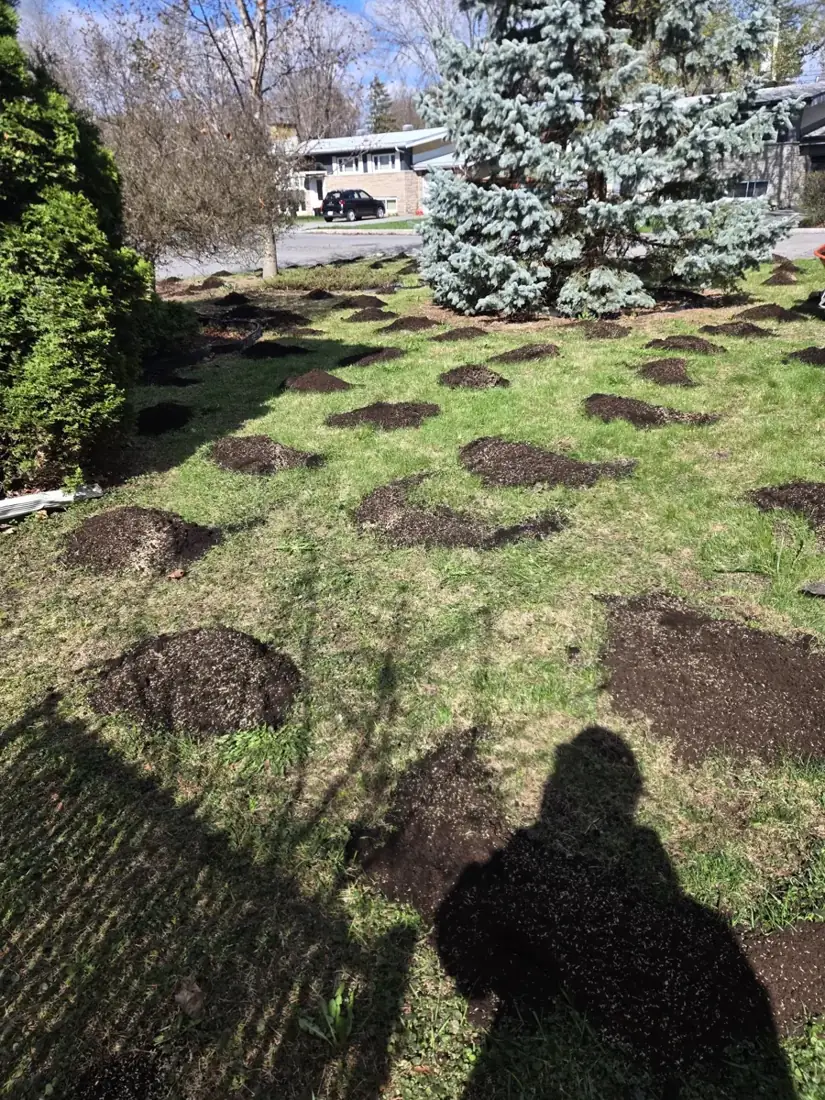 Quality soil placed before spreading